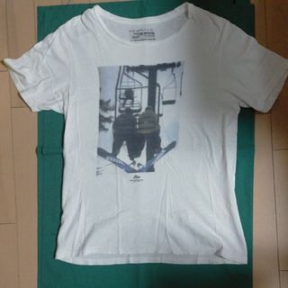 【古着】半袖Tシャツ　レディース　Sサイズ(Tシャツ(半袖/袖なし))