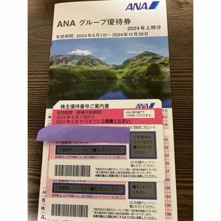 エーエヌエー(ゼンニッポンクウユ)(ANA(全日本空輸))のANA 株主優待券2枚セット ＋グループ優待券 (その他)