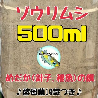 ゾウリムシ種水500ml  金魚やグッピー、メダカの針子や稚魚のえさ 陽悠めだか(アクアリウム)