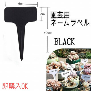 園芸ラベル　T字型　100枚　ブラック　植物　ネームプレート　ガーデニング　名札