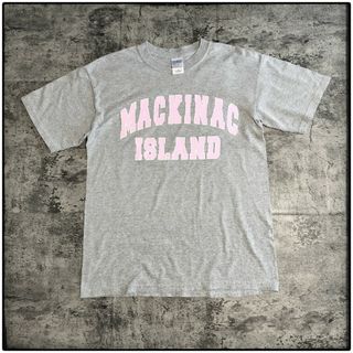 ギルタン(GILDAN)の【C414】GILDAN 00s 旧タグ USA古着 半袖Tシャツ カットソー(Tシャツ/カットソー(半袖/袖なし))