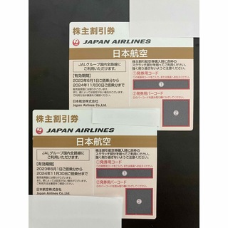 ジャル(ニホンコウクウ)(JAL(日本航空))のJAL 株主割引券 2枚(その他)