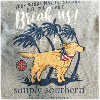 【C436】USA古着 半袖Tシャツ グレー simply southern(Tシャツ/カットソー(半袖/袖なし))