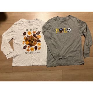 ポロラルフローレン(POLO RALPH LAUREN)のポロベア　ロンT 2枚セット　150cm 160cm 落ち葉　サッカー　グレー(Tシャツ/カットソー)