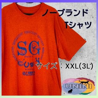 《海外古着》ノーブランド XXL 3L 2XL 大きいサイズ②(Tシャツ/カットソー(半袖/袖なし))