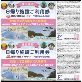 2024/9/30迄 藤田観光 日帰り施設利用券2枚(その他)