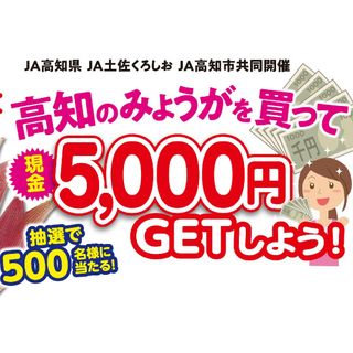 ★★懸賞応募 高知産 みょうが 現金5000円プレゼントキャンペーン★★