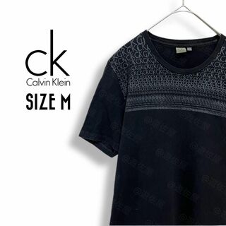シーケーカルバンクライン(ck Calvin Klein)のカルバンクライン ck Tシャツ 古着 M プリントロゴ 丸首 黒b82(Tシャツ/カットソー(半袖/袖なし))