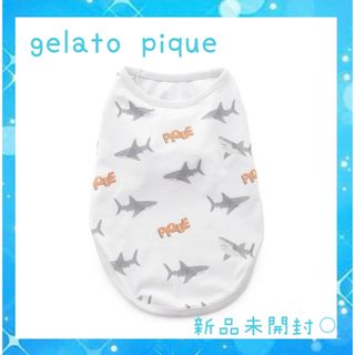 gelato pique - ジェラートピケ シャーク柄ウェア  犬服　ブルー