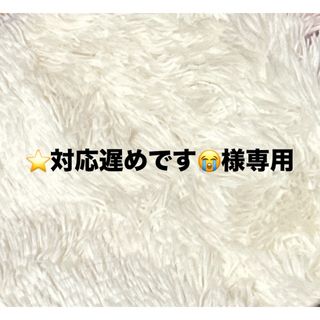 ⭐️対応遅めです😭様専用(各種パーツ)