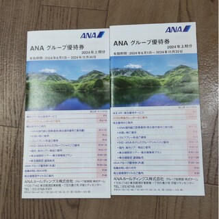 エーエヌエー(ゼンニッポンクウユ)(ANA(全日本空輸))のANA グループ優待券 2冊(その他)