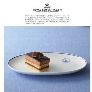 ロイヤルコペンハーゲン(ROYAL COPENHAGEN)のコペンハーゲン　オーバル　皿　23cm(食器)