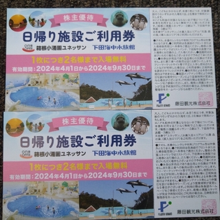 藤田観光 優待日帰り施設ご利用券2枚 箱根小涌園ユネッサン・下田海中水族館(遊園地/テーマパーク)