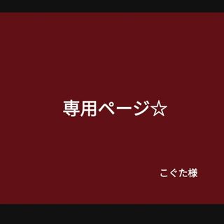 専用ページ☆　　こぐた様