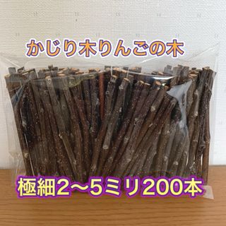 かじり木　りんごの木　極細200本