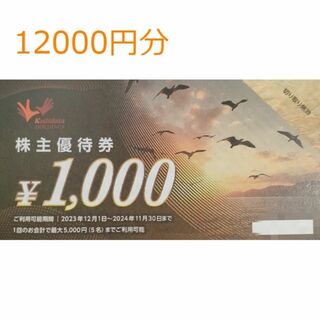 12000円分　コシダカ　株主優待(その他)