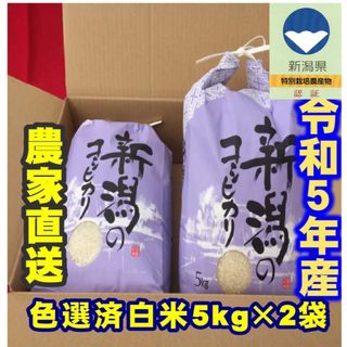 令和5年産　特別栽培米　新潟　岩船産コシヒカリ　白米5kg×2個★農家直送★30(米/穀物)