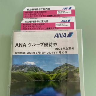 エーエヌエー(ゼンニッポンクウユ)(ANA(全日本空輸))のANA株主優待券(その他)