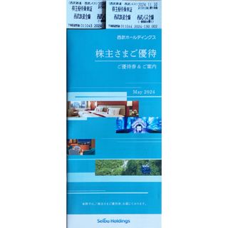 専用⭐️西武ホールディングス 100株 2セット 株主優待券(鉄道乗車券)