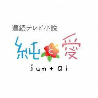 連続テレビ小説　純と　愛総集編(TVドラマ)