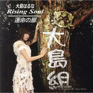 Ｒｉｓｉｎｇ　Ｓｏｕｌ／運命の扉（初回限定盤Ａ）（ＤＶＤ付）(ゲーム音楽)