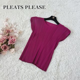 プリーツプリーズイッセイミヤケ(PLEATS PLEASE ISSEY MIYAKE)の【5サイズ】極美品 PLEATS PLEASE プリーツプリーズ カットソー(カットソー(半袖/袖なし))