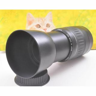 キヤノン(Canon)のCanon 望遠レンズ キヤノン EF 55-200mm イベントに！(レンズ(ズーム))