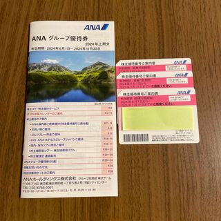 エーエヌエー(ゼンニッポンクウユ)(ANA(全日本空輸))のANA 株主優待優待券　3枚(その他)