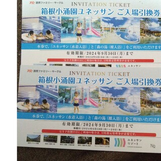 箱根小涌園ユネッサンご入場引換券×２枚。