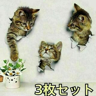 猫　ねこ　ネコ　ウォールステッカー 可愛い♡アニマル　おもしろ　雑貨　インテリア(その他)