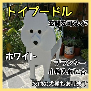 【訳あり、ラスト1点】トイプードル 白 ペット プランター 鉢植え 犬 観葉植物(プランター)