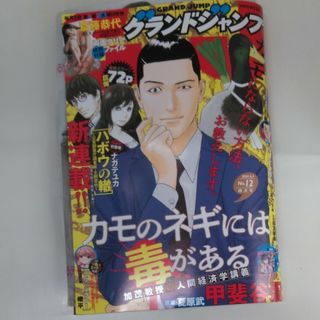 グランドジャンプ 2024年 6/5号 [雑誌](アート/エンタメ/ホビー)