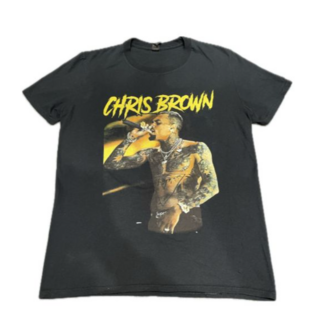 古着　Tシャツ Chris Brown(Tシャツ/カットソー(半袖/袖なし))