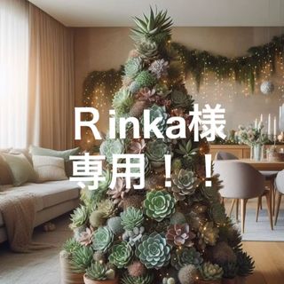 Rinka様専用ページ•*¨*•.¸♬︎4点おまとめ(その他)