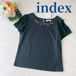 インデックス(INDEX)のindex ストライプ 切替 シアースリーブ ビジュー ネック トップス(Tシャツ/カットソー(半袖/袖なし))