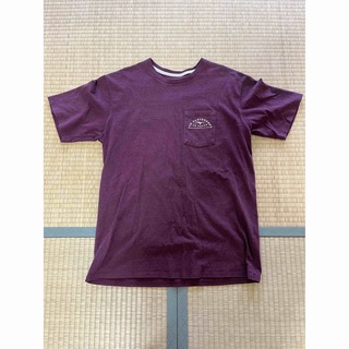 patagonia - Patagonia Tシャツ　FCD