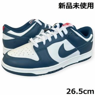 ナイキ(NIKE)の新品 ナイキ ダンク ロー レトロ バレリアンブルー スニーカー 26.5cm(スニーカー)