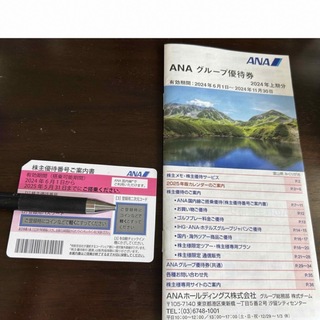 ANA 株主優待券　25.5.31まで(航空券)