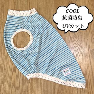 犬服　大型犬　5L　ウォーターCOOL　ボーダーBL(ペット服/アクセサリー)