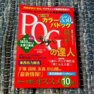 コウブンシャ(光文社)のＰＯＧの達人完全攻略ガイド 2024～2025(趣味/スポーツ/実用)