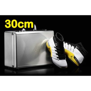 ジョーダン(Jordan Brand（NIKE）)のNike Air Jordan17 Retro Low SP Lightning(スニーカー)