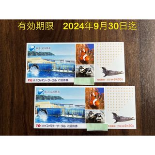 新江ノ島水族館　入場招待券 2枚（大人・小人共通）2名様　2024年9月30日迄