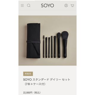 SOYO スタンダード デイリー セット （7本＋ケース付）