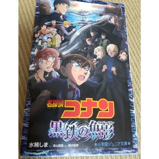 メイタンテイコナン(名探偵コナン)の名探偵コナン小説(文学/小説)