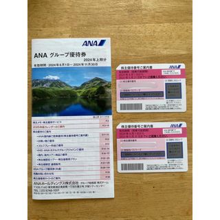 エーエヌエー(ゼンニッポンクウユ)(ANA(全日本空輸))のANA株主優待券2枚(その他)