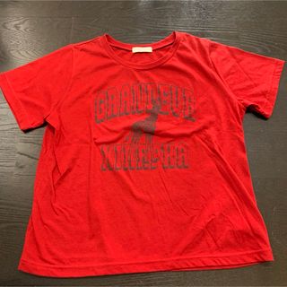 アースミュージックアンドエコロジー(earth music & ecology)のアースミュージックエコロジー　半袖　フリーサイズ(Tシャツ/カットソー)