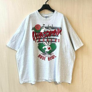 ヴィンテージ(VINTAGE)の90s USA製古着　ヴィンテージ　Tシャツ　バッキー君　霜降　シングルステッチ(Tシャツ/カットソー(半袖/袖なし))