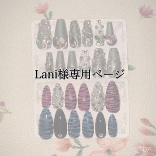 Lani様専用ページ(つけ爪/ネイルチップ)