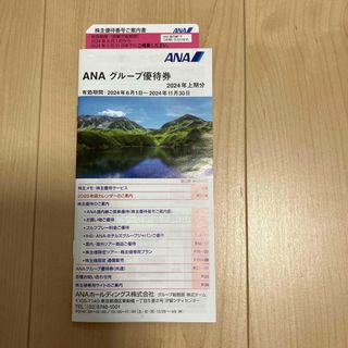 エーエヌエー(ゼンニッポンクウユ)(ANA(全日本空輸))のANA株主優待(その他)