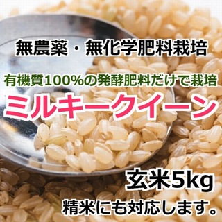 【令和5年産】無農薬栽培米・ミルキークイーン《玄米 5kg》精米にも無料対応(米/穀物)